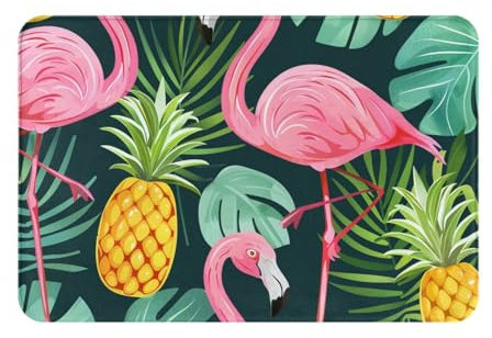 AUBKFELD Paillasson imprimé flamant rose 60 x 40 cm – Flanelle antidérapante pour entrée de maison et espaces adaptés aux animaux domestiques