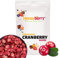 Fette di Mirtilli Rossi Liofilizzati 100g - Frutta Liofilizzata - Mirtillo Rosso Disidratato - Frutta Disidratata - Mirtilli Rossi Secchi Perfetti per Dolci, Decorazioni, Muesli e Dessert