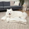 Nandog Pet Gear Haustierbett mit abnehmbarem und waschbarem Bezug für Hunde, Elfenbein, Wolke