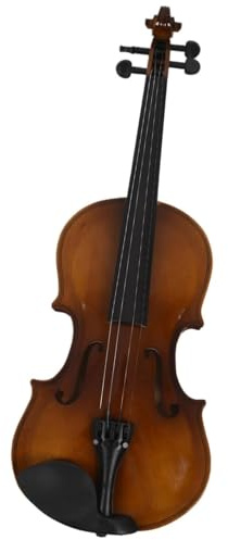 strumento violino Applicabile Al Violino Acustico 4/4 In Legno Con Custodia Per Violino