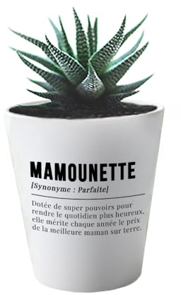 CADEAUX.COM - Pot de Fleurs Original Personnalisable - Définition Maman - Pot Fleurs Céramique avec Message Personnalisé - 10 cm - Idée Cadeau Maman - Cadeau Fête des Mères - Idée Cadeau Femme