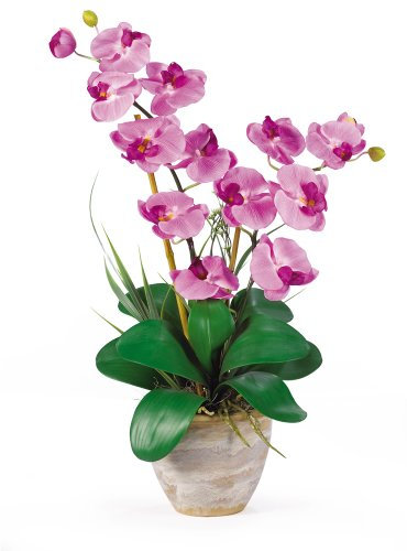 NearlyNatural 1026-MA - Orchidea in seta doppia Phalaenopsis