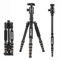ZOMEI Z699C Treppiede portatile in fibra di carbonio con testa compatta da viaggio per Canon, Sony, Nikon, Samsung, Panasonic, Olympus, Kodak, Fuji, Telecamere e Videocamera