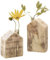 Dekoleidenschaft 2X Vase Häuschen aus Holz, geflammt, mit Reagenzglas für einzelne Blumen, Blumenvase, Reagenzglasständer, Holzhaus mit Glasvase, Deko-Häuschen mit Blumenröhrchen, Tischvase
