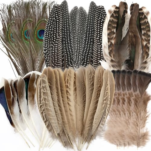 48 Stück Federn, Federn zum Basteln, Bastelfedern 5 Stile Deko Bastelfedern in Verschiedenen Farben, Gemischte Natürliche Fasanenfedern für DIY-Projekte, Hüte, Masken und Festdekorationen