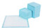 FEANDREA Puppy Pads, Welpen-Unterlage, 60 x 60 cm, 100 Stück, blau-weiß PTD60B