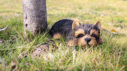 RUNADI Hi- Line Gift 87710-M Yorkshire Terrier Schlafende Haustier Pals Statue