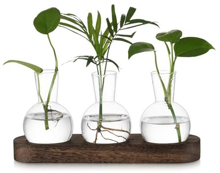 Hewory Terrarium Pflanzen Blumenvase Hydrokultur: Vintage Propagation Station Hydroponic Kleine Vasen für Tischdeko, Terrarium Glas Vase mit Tablett Braunt, 3 Glasvase Klein für Tischdeko Büro Deko