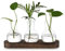 Hewory Terrarium Pflanzen Blumenvase Hydrokultur: Vintage Propagation Station Hydroponic Kleine Vasen für Tischdeko, Terrarium Glas Vase mit Tablett Braunt, 3 Glasvase Klein für Tischdeko Büro Deko