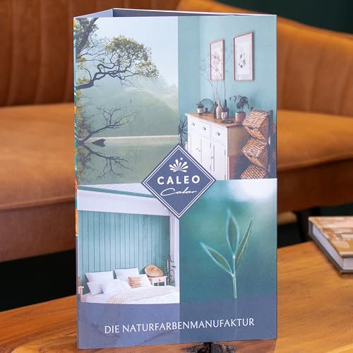 Caleo Color Nuancier véritable : nuancier avec peinture véritable, 103 teintes