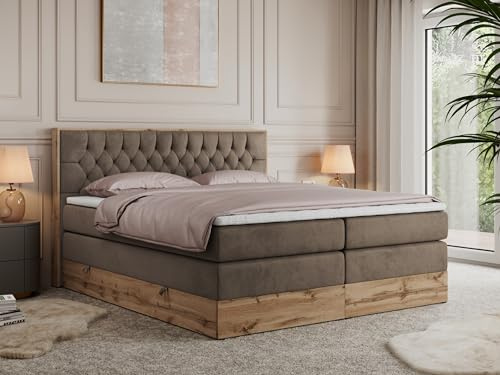 MKS MEBLE King Boxspringbett 160x200 mit Bettkasten und Kopfteil, Bonell Polsterbett mit Matratze H3 und Topper Visco, Bett mit Holzrahmen in Wotan Eiche - Braun Velvet - Amore King