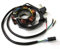 Lichtmaschine Zündung Runner Free Liberty NRG Sfera TPH Zip 50 2T