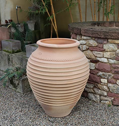 Palatina Werkstatt Terracotta Amphore Ficus - handgefertigtes Unikat aus Kreta, frostfest & winterhart, bauchige Gartenamphore & Pflanzkübel, 35-100 cm (70 cm)