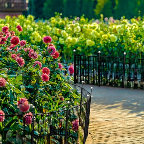 IGOOUO Gartenzaun für Hunde, Tierbarriere, 91,4 cm hoch, 8 m lang, temporärer Poolzaun (11 Paneele + 1 Tür + 12 Heringe)
