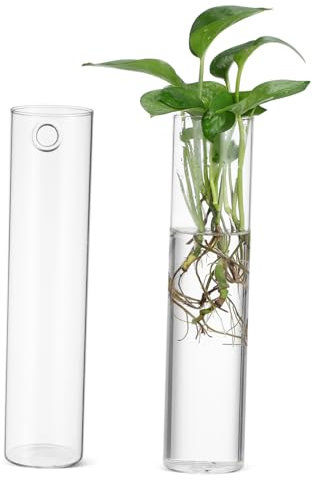Wandvase Glas 2 Stück Zylindrisch für Stecklinge und Blumen