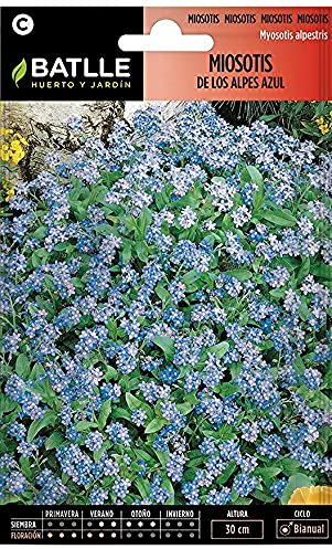 Blumensamen - Myosote der Blauen Alpen - Batlle