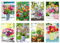 Skorpion PremiumLine Grußkarten Frühling Set mit 16 Karten mit Umschlag | Blanko Innenseite Weiß, FSC qualifiziertes Papier | Postkarten Frühjahr, Glückwunschkarten Blumen | 11,5 x 17,5 cm Papeterie