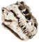 Yctze Cráneo de Dinosaurio de Resina, Personalidad, Esqueleto de Animal, Adornos, Accesorios, Colección de Halloween, Decoración Artesanal, Decoración Perfecta, Regalos, Mano de Obra