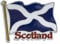 Scottish Flag Decorative Magnet, Saltire Design with Text, Blue and White
