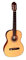 VGS Pro Arte GC-100 II