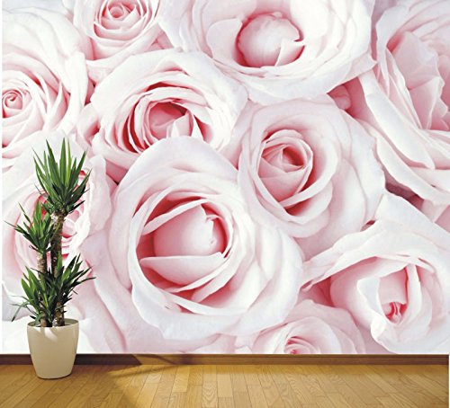 Wallpaper Mural Baby Pink Roses Close Up Photo Wall Floral - 2XL