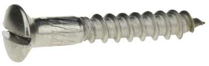 Reidl Holzschraube Linsenkopf 2,5 x 10 mm DIN 95 A2 blank 200 Stück