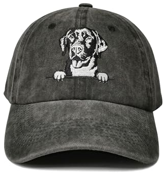 Hepandy Hunde-Liebhaber-Geschenke, bestickte Baseballmütze für Damen und Herren, Labrador Retriever (Washed Black), Einheitsgre