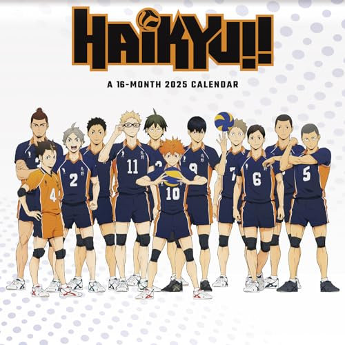 HAIKYU 2023 16 MONTH 2025 WALL CALENDAR