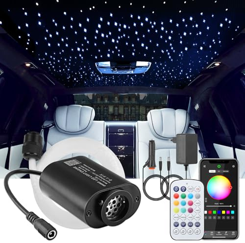 CHINLY 6W Twinkle Sternenhimmel Auto Glasfaser Licht, RGBW Bluetooth APP Fernbedienung, Musikaktivierung, 225pcs*0.75mm*3m Glasfaser-Deckenleuchten Kit für Auto/Decke/Kino/Zuhause