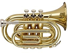 Stagg WS-TR245S B-Taschentrompete im Softcase