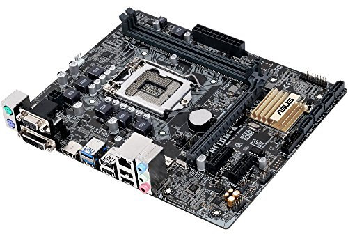 Asus H110M-A D3 Motherboard 6th Gen Core i7/i5/i3/Pentium/Celeron Intel H110 uATX (Integrated Graphics Processor)