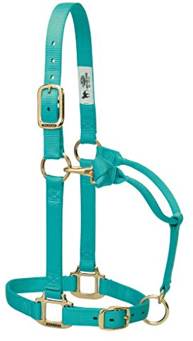 Weaver Leather Original Verstellbares Pferdehalfter, Nylon, groß, Grün (Mint)