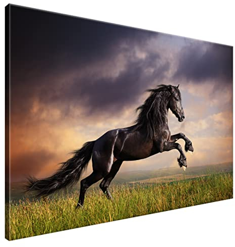 Estika Leinwand bilder - Schwarzes Pferd, Wiese - 120x80 cm, 1 teilige kunstdruck - Wandbilder wohnzimmer, schlafzimmer, Moderne wanddeko, Bild auf leinwand - Tiere bilder - 1149A_1B