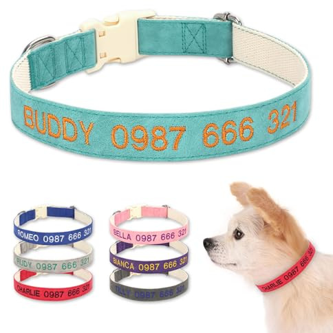 Personalisiertes bestickter Hundehalsband mit weichem Lederpolster Türkis | Mit Name, Telefon und Adresse gravierbar; geräuschloses, wasserdichtes Design für kleine, mittlere und große Hunde & Katzen
