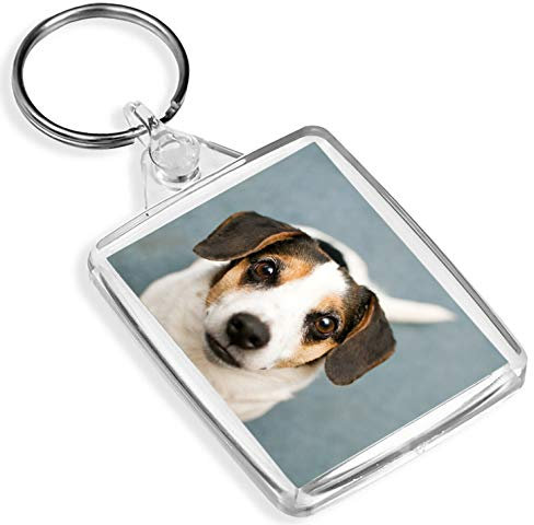 Porte-clés Jack Russell Terrier – IP02 – Cadeau pour les amoureux des animaux domestiques #16290