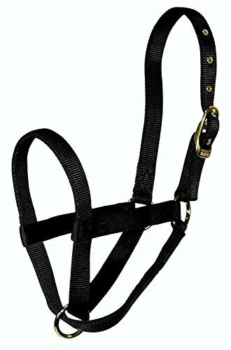 Hamilton Yearling Cow Turn Out Halter, 1-Inch, Black