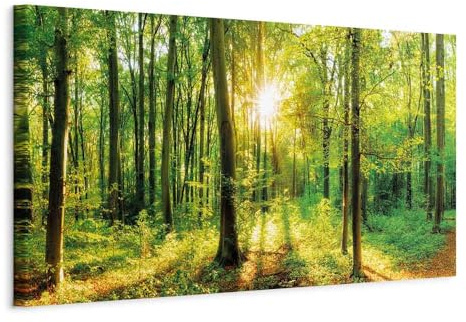 B&D XXL - Leinwandbild Waldlandschaft Natur, 150x50 cm, 1-teilig, modern | Hochwertige Leinwand, sofort aufhängbar, ideal fürs Wohn- oder Schlafzimmer, wasserfest und lichtecht, langlebig, stilvoll