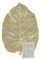 Lorena Canals - Waschbarer Teppich für das Kinderzimmer. Kollektion Mini Monstera in Natur- und Olivefarbe - handgefertigt mit natürlicher Baumwolle und ökologischen Farbstoffen - Größe: 75x100 cm