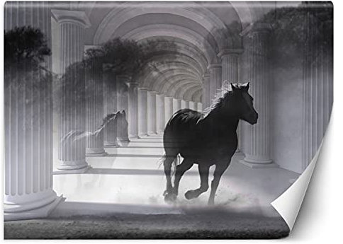 Luxury Fototapete Illusion 3D Effekt Pferde 368x254 cm XXL Wandtapete Tapeten Wohnzimmer Schlafzimmer Jugendzimmer Büro Flur Hotel Spa Moderne Design Wand Dekoration Arkaden Abstrakt Kolonnade Grau
