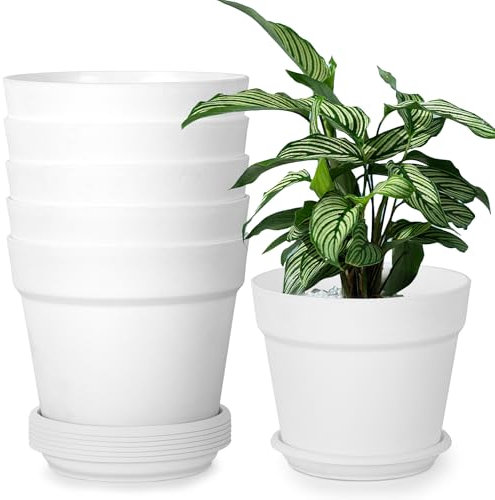 Solvant 6 Vasi per Piante da Esterno, Vaso Con Fori di Scarico e Vassoio,Adatti A Ufficio E All'Aperto, Balcone, Vasi Per Piante In Coltivazione, Erbe, Orchidee (Bianco, 20 cm)
