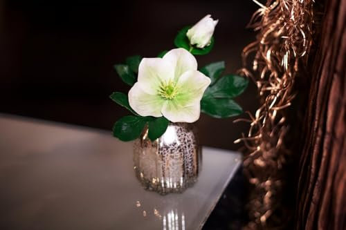 artplants.de Kunst Blume Christrose WINFRIEDA in Glasvase, Creme-grün, 20cm - Deko Kunstblumengesteck
