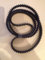 N. 181: cinghia dentata per trattorini twincut, 122 cm, 1800DS8M25