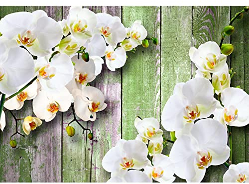 Runa Art Fototapete 3D Orchidee Holz 352 x 250 cm Vlies Tapeten XXL Moderne Wandtapete Wohnzimmer Schlafzimmer Weiss 9057011c