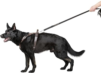 Dingo Gear Hundegeschirr aus Leder für Hunde, handgefertigt, HQ Dog Fashion, feine Bronze, XL