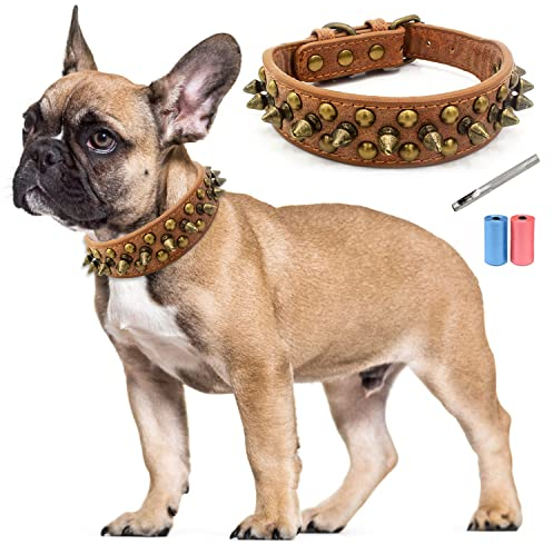 TVMALL Leder Hundehalsband Bissfest mit Pilze Nieten Verstellbar Trainingshalsband für Kleine, Mittelgroße Hunde, Haustiere Outdoor-Halsbänder - Kostenlose Lederlocher und Müllbeutel (Braun, M)