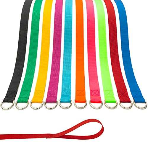 ATICNECH Slip Lead Dog Leash, 10 Pack Colorful 6 FT Pet Leashes with O-Ring