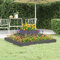 ShGaxin Jardinière Gris 80x80x27 cm Bois Massif de pin,Jardiniere sur Pieds,Jardiniere Terrasse