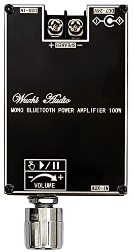 Qiaohome Placa de Amplificador de Audio Bluetooth Mono de 100 W con FuncióN TWS Box TPA3116D2 BT5.1 MóDulo de Audio EstéReo DC7-24V -1001B