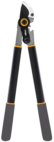 AIRAJ Troncarami per Giardinaggio Professionale, Troncarami ad Alte Prestazioni, Lame Affilate in Acciaio al Carbonio, Diametro di Taglio Massimo di 4 cm. Ideale per la Potatura di Alberi e Siepi.