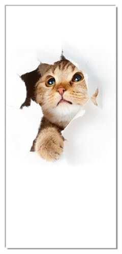 Wallario Selbstklebende Türtapete Katze mit Blick nach Oben - Türposter 93 x 205 cm Abwischbar, rückstandsfrei zu entfernen